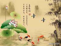 南京茶源轩餐饮管理有限公司
