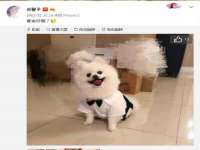 南京茶源轩餐饮管理有限公司