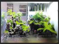 南京茶源轩餐饮管理有限公司